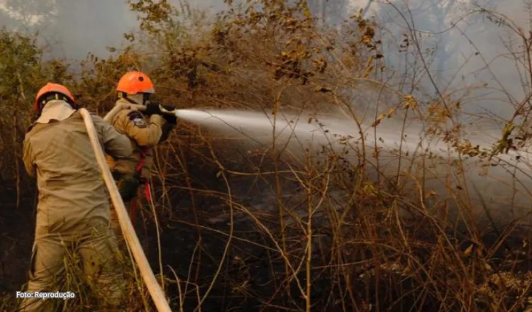 Estiagem e El Niño elevam risco de incêndios em mais de 500 municípios
