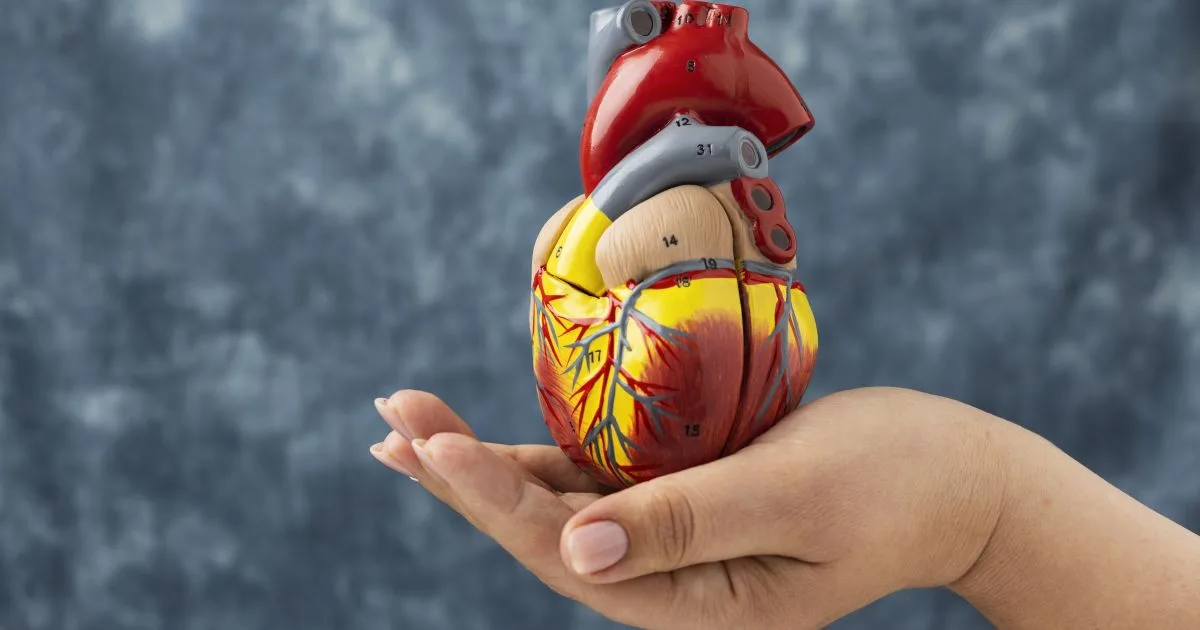 Gráficos de monitoramento de saúde cardiovascular no Cardiômetro.