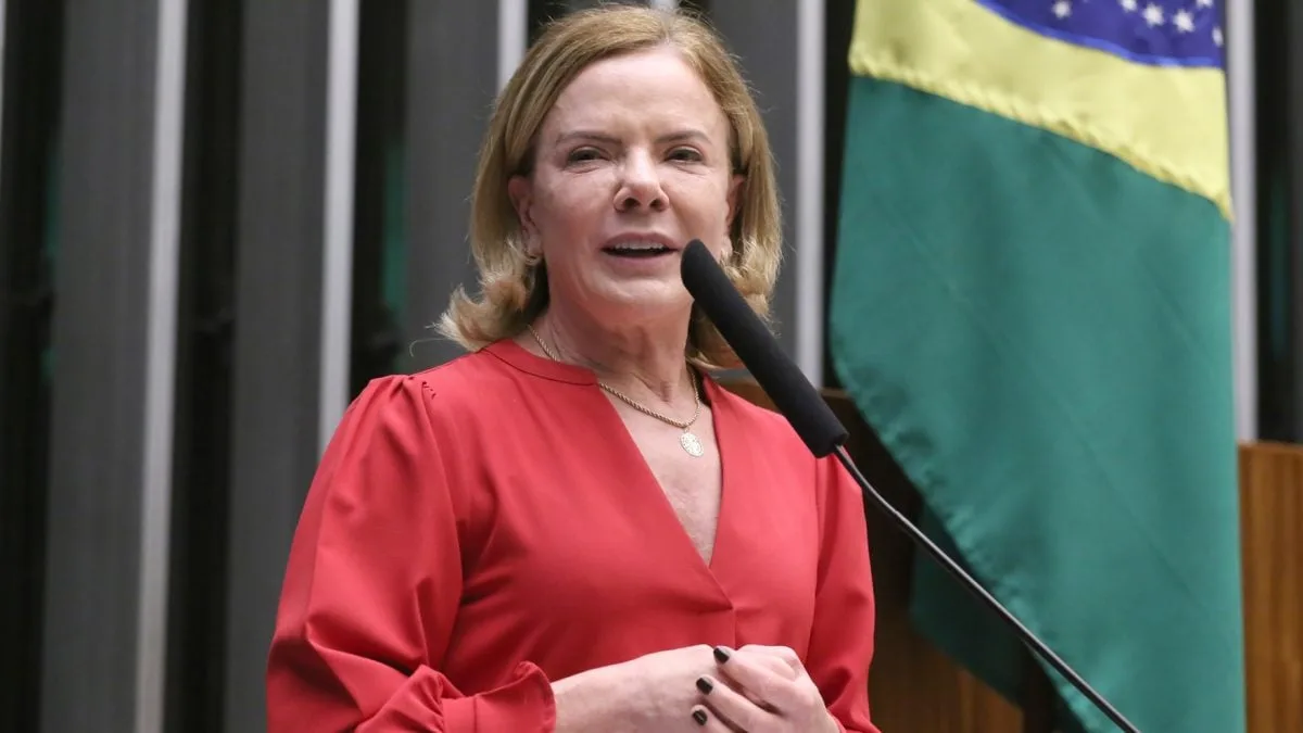 Foto da deputada Gleisi Hoffmann em atividade parlamentar.