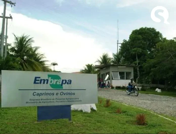 Embrapa abre seleção para estagiários