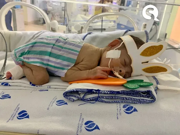 Bebês de UTI Neonatal da Santa Casa de Sobral são fantasiados de ‘coelhinhos da Páscoa’