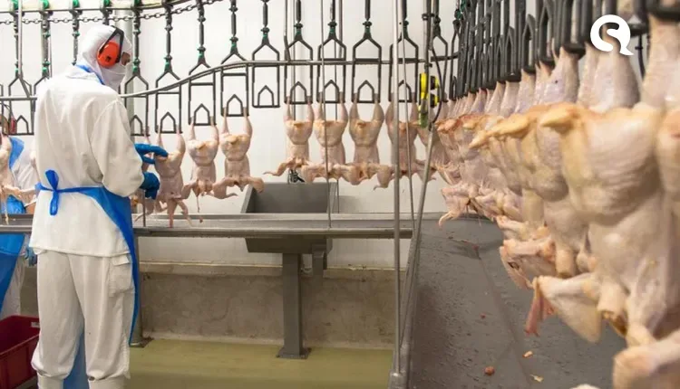 Prefeitura de Sobral inaugura Abatedouro de Aves em Caracará