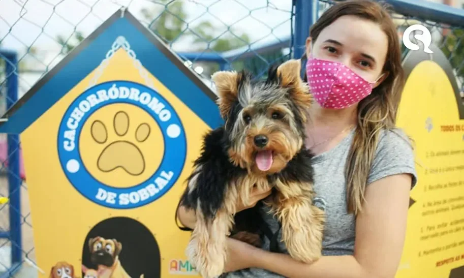 12ª Campanha de Adoção de Cães e Gatos em Sobral acontece neste sábado (16/03)