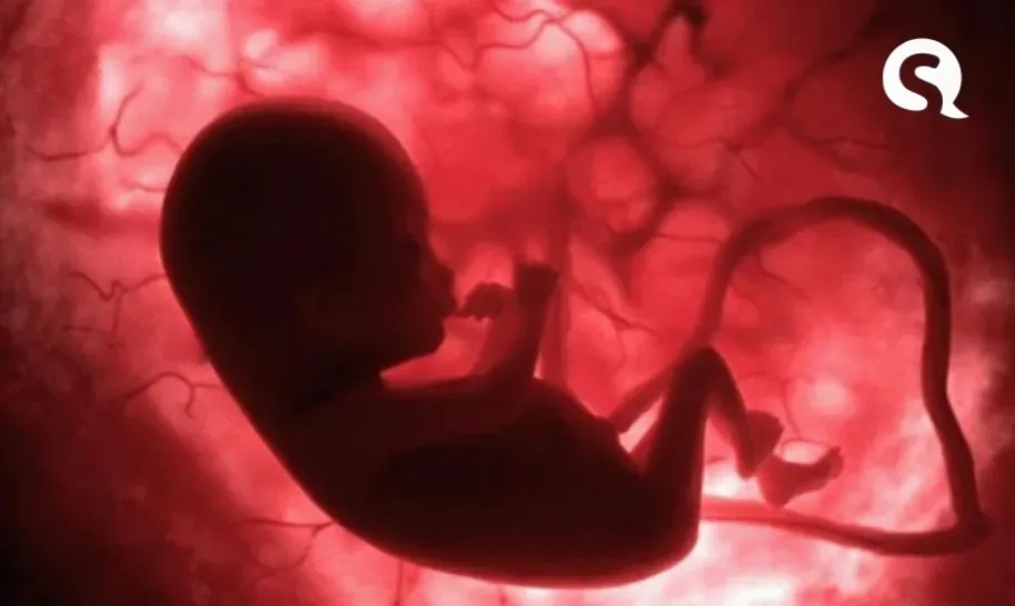 79% dos brasileiros são contra a legalização do aborto, revela pesquisa