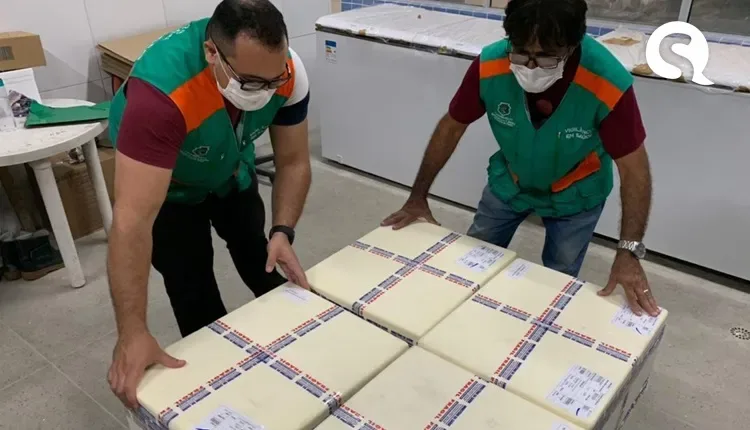 Ceará recebe novo lote com 24.570 doses de vacina contra a Covid-19 nesta quinta-feira (3)