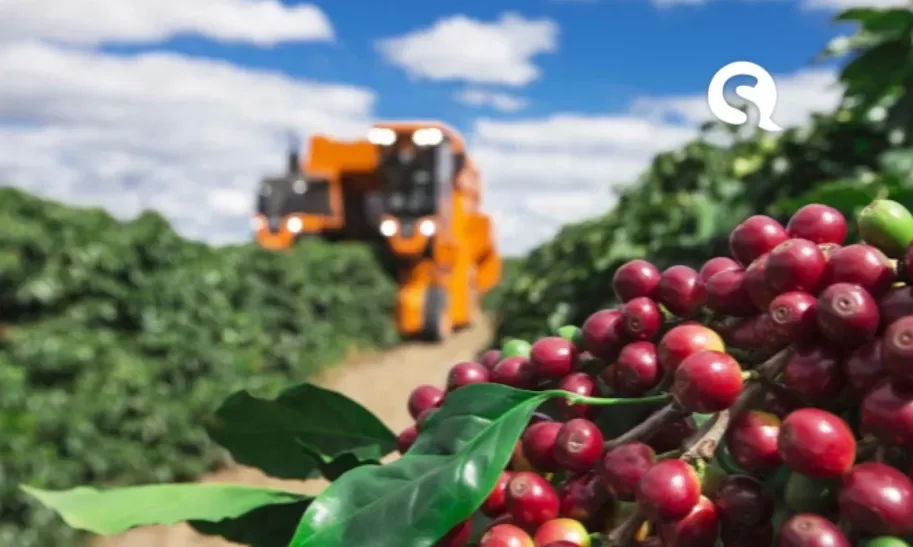 Brasil tem café suficiente para saciar demanda global