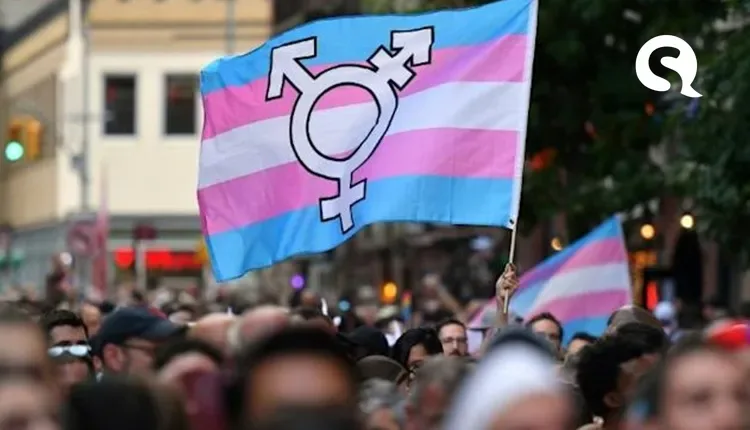 STJ aprova aplicação da Lei Maria da Penha para mulheres trans
