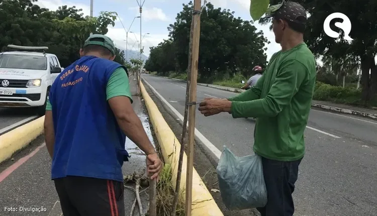 Prefeitura de Sobral repõe árvores na Avenida Fernandes Távora