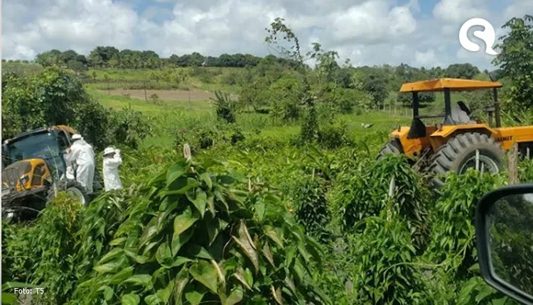 Bebê de um ano morre após ser atropelada por trator dirigido pelo pai