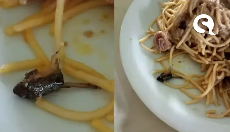 Rã é encontrada em refeição de restaurante universitário no Ceará