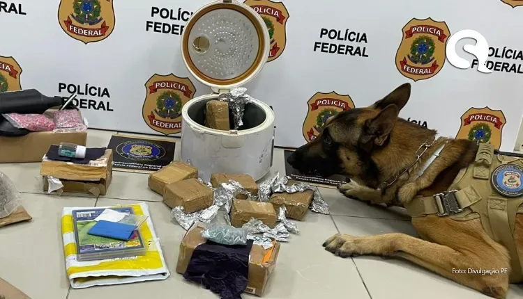Em fiscalização dos Correios, PF apreende drogas escondidas em panela elétrica