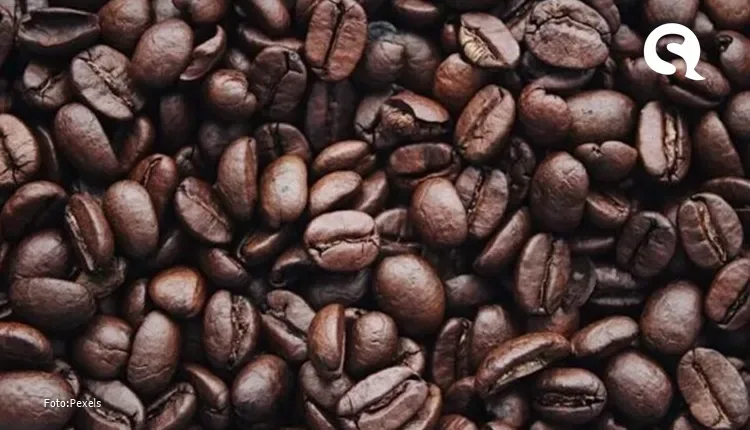 Conheça os 10 países que mais produzem café no mundo