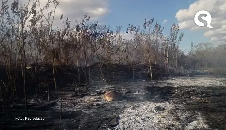 Ceará registra quase mil focos de calor em 2022; entenda o impacto para os solos