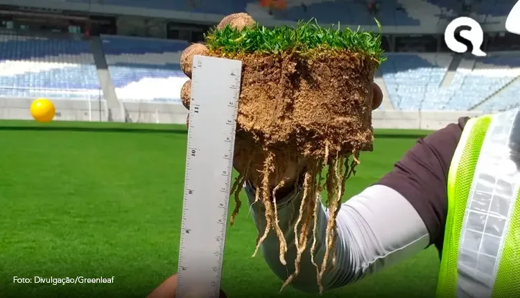 Grama da Copa do Mundo tem toque brasileiro e é regada com água do mar; entenda
