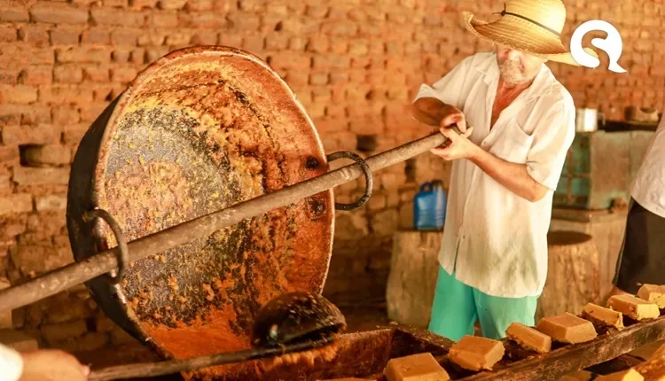 Experiências Ibiapaba” destaca a importância turística e econômica dos engenhos de Viçosa do Ceará