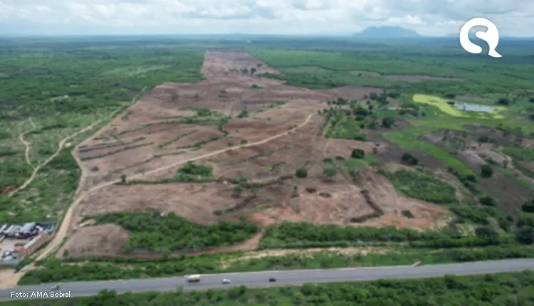 AMA aplica multa superior a R$ 670 mil por desmatamento ilegal de mais de 80 hectares em Sobral