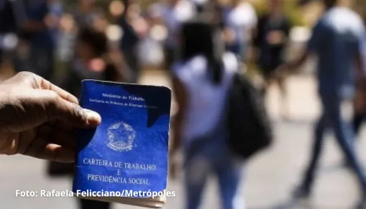 Desemprego recua para 9,3% em 2022, o menor nível em 7 anos