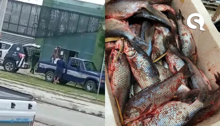 Polícia Civil doa 77 kg de peixe para hospital municipal de Varjota