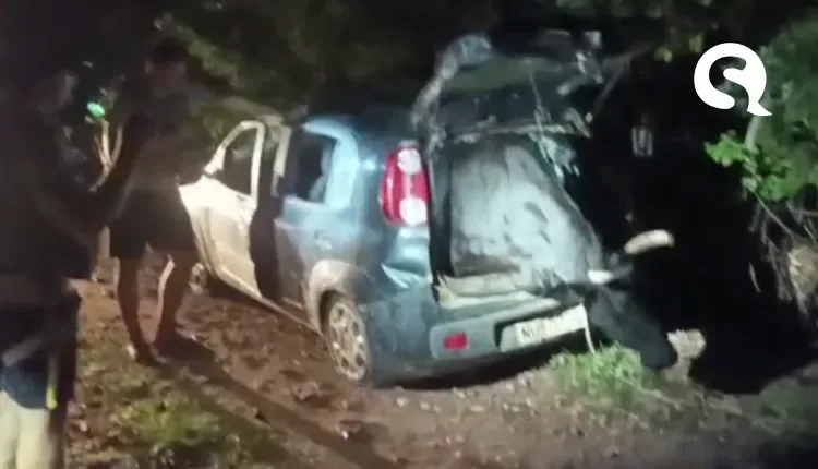 Boi é encontrado dentro de carro abandonado no Ceará; veja o vídeo