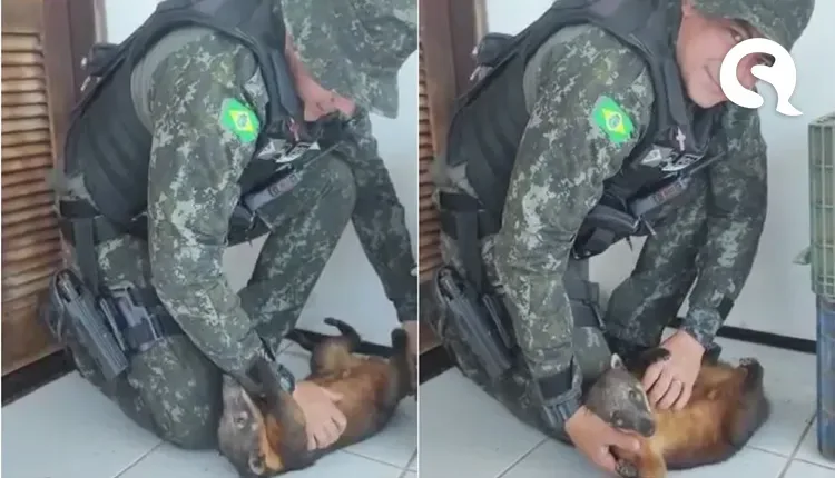Quati é resgatado em casa de caçador em Ibiapina e ganha carinho de policial