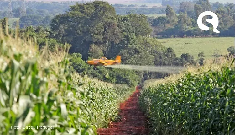 STF valida lei que proíbe pulverização aérea de agrotóxicos no Ceará