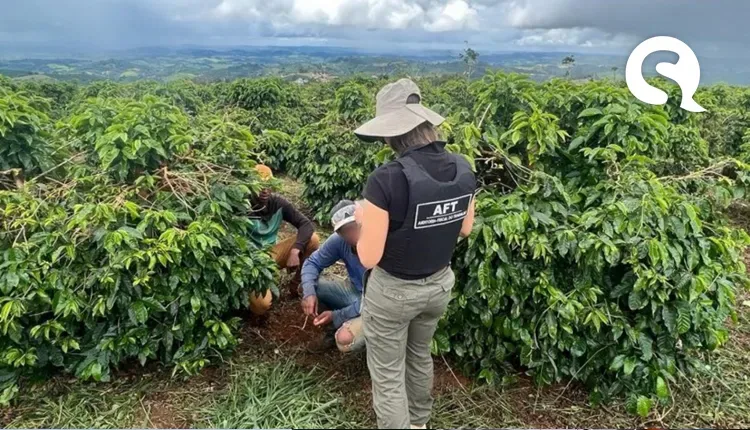 Ceará tem 18 trabalhadores resgatados em situação análoga à escravidão em 2023