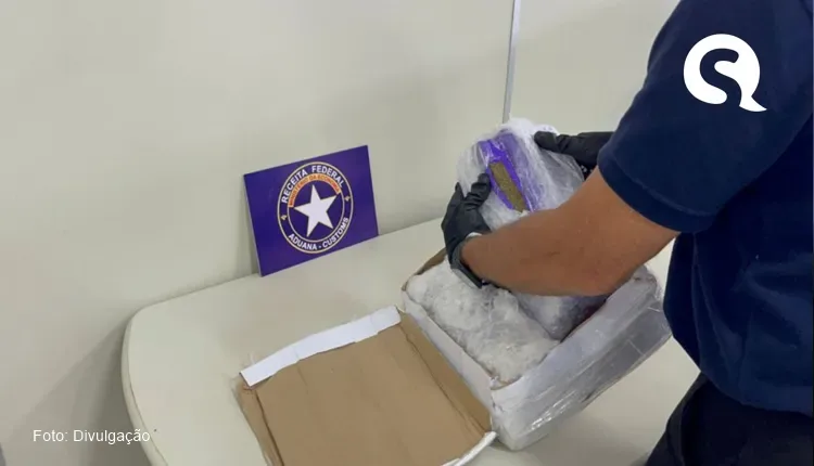 10,5 kg de skunk foram apreendidos com destino a Guaraciaba do Norte