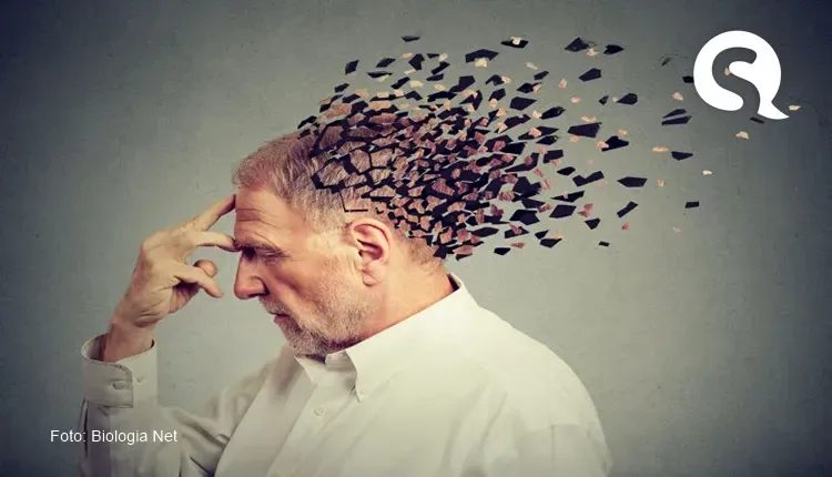 Alzheimer: brasileiros criam ferramenta que ajuda no tratamento