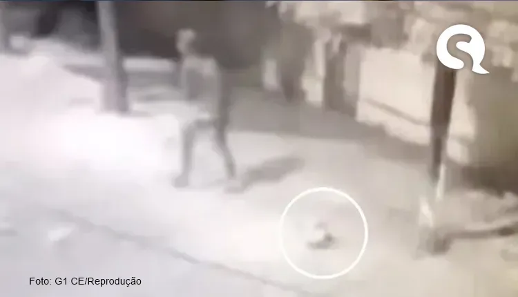 Homem é preso por suspeita de matar dois cães a pauladas e agredir mulher no interior do Ceará