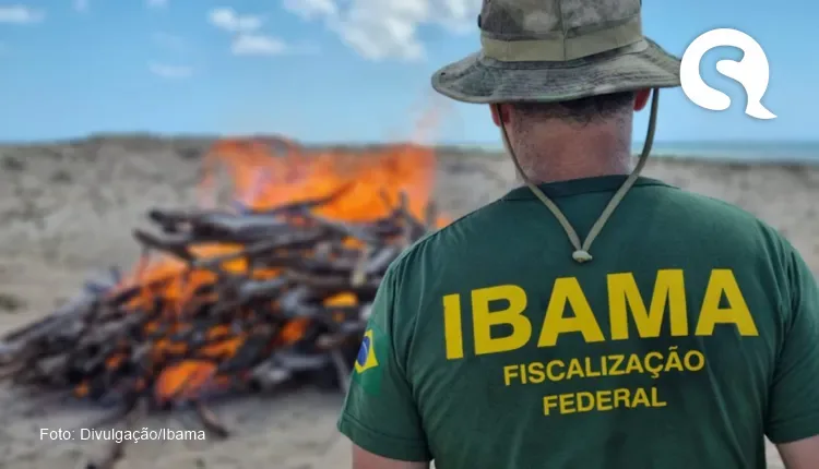Operação Federal recupera terrenos alvos de grilagem em Camocim