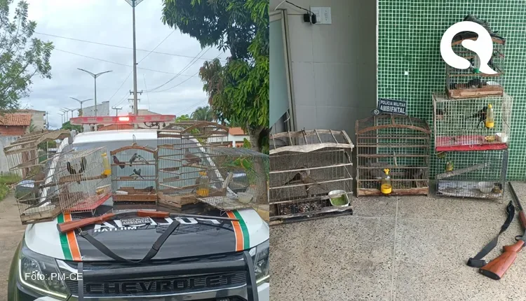 PMCE prende homem com espingarda e pássaros silvestres em Viçosa do Ceará