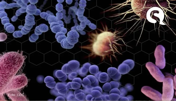 Novas superbactérias estão surgindo nos hospitais do Brasil, aponta estudo
