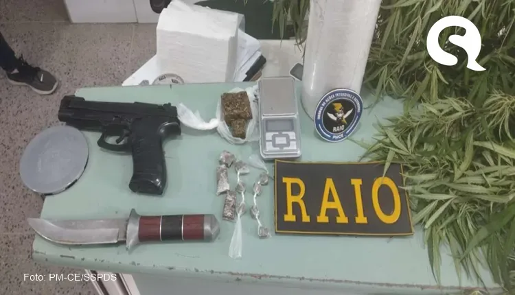 PM-CE apreende pés de maconha, drogas e simulacro de Pistola em Amontada-CE