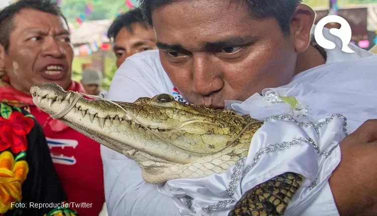 Prefeito se casa com um jacaré fêmea vestido de noiva, no México