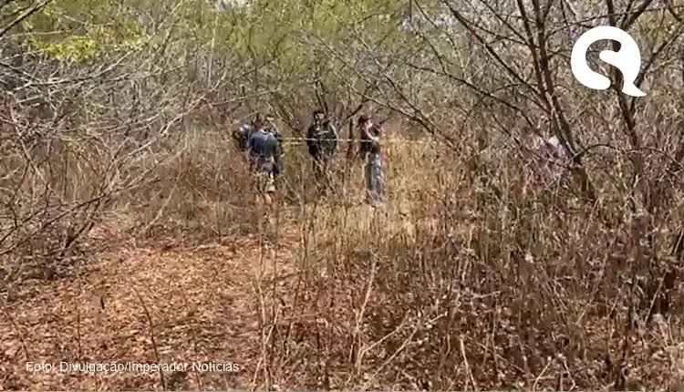 Corpo é encontrado crivado de bala dentro de matagal em Varjota-CE