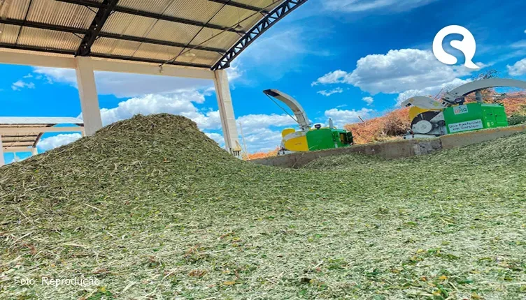 Sobral recebe mais de 297 toneladas de resíduos orgânicos para destinação final correta