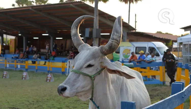 Expoita encerra após 8 dias de sucesso e se consolida como um dos maiores eventos agropecuários do Ceará
