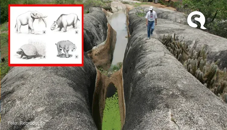 Fósseis encontrados em tanques de pedra em Itapipoca ajudam a reconstituir passado de animais pré-históricos no Nordeste