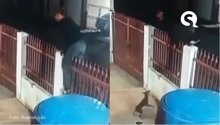 Homem tentar invadir casa e é surpreendido por três pinschers que botam ele pra correr