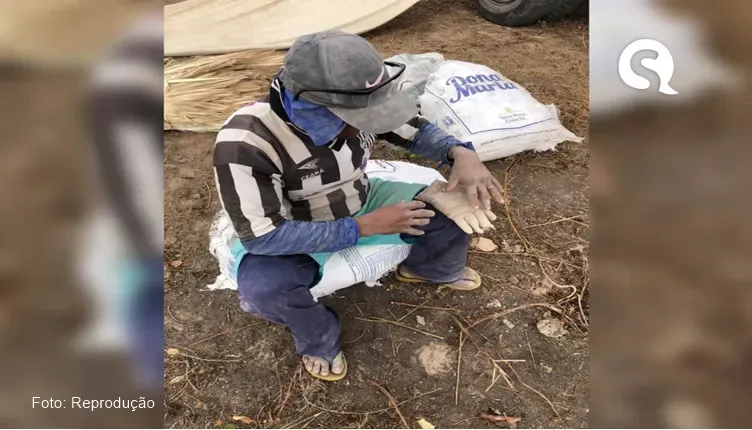 Sete pessoas são resgatadas de trabalho escravo em fazenda sem banheiro e sem dormitório em Pacujá