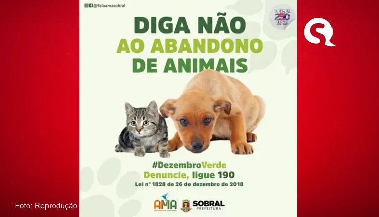 Sobral adere a campanha “Dezembro Verde – Diga Não ao Abandono de Animais”