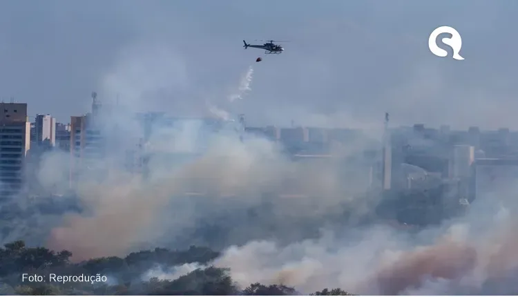 Incêndio no Parque do Cocó já dura 48 horas e destruiu o equivalente a quatro campos de futebol