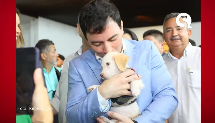 Célio Studart anuncia programas de apoio a abrigos e de atendimento gratuito em clínicas veterinárias