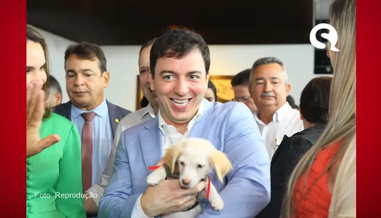 Governo do Ceará inicia credenciamento de clínicas veterinárias para o programa Vet+Ceará