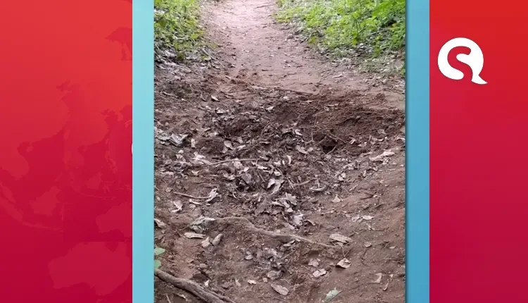 Corpo é encontrado em cova rasa na serra da Ibiapaba, no interior do Ceará