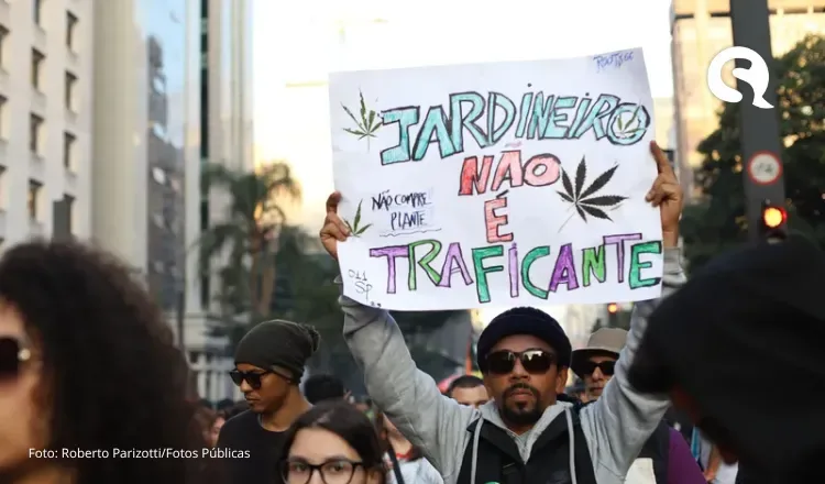 Porte de maconha para uso pessoal: entenda como fica a proposta em análise no Congresso após a decisão do STF
