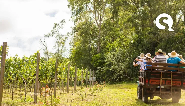 Caxias do Sul e o enoturismo