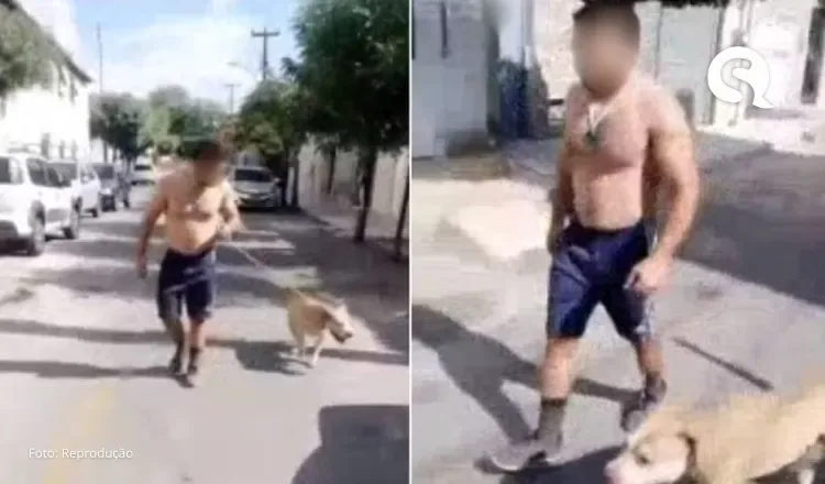 Polícia investiga tutor de pitbull denunciado por incitar ataque do cão a gatos em Sobral
