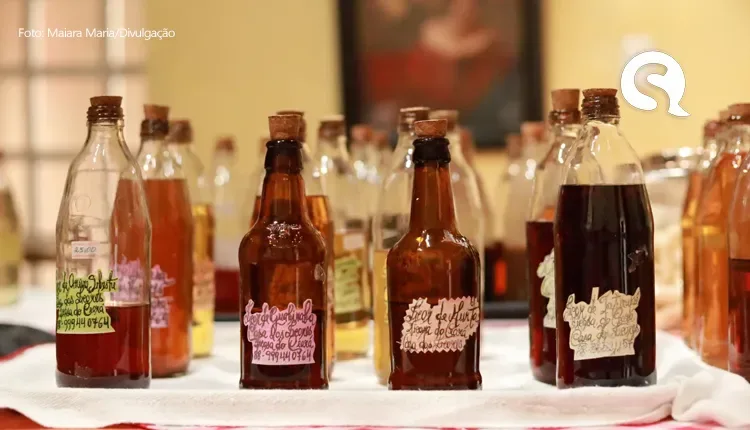 Para quem gosta de cana: roteiro pelos engenhos de Viçosa, a capital da cachaça