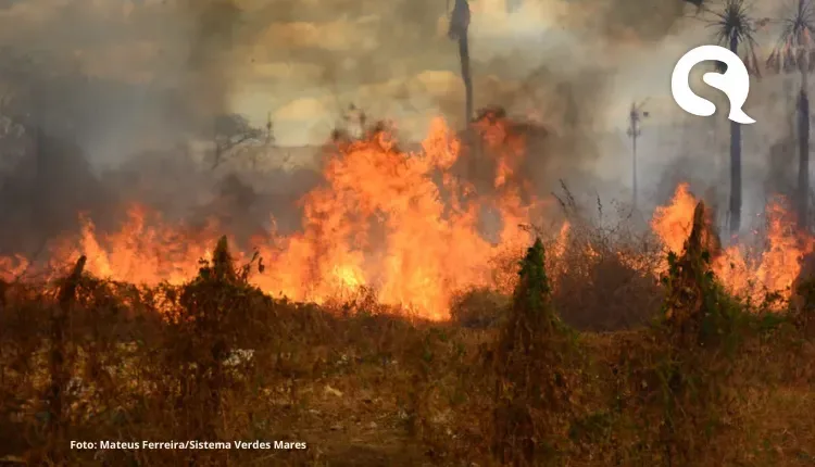 Ceará tem áreas sem chuva há 150 dias e propensas a incêndios